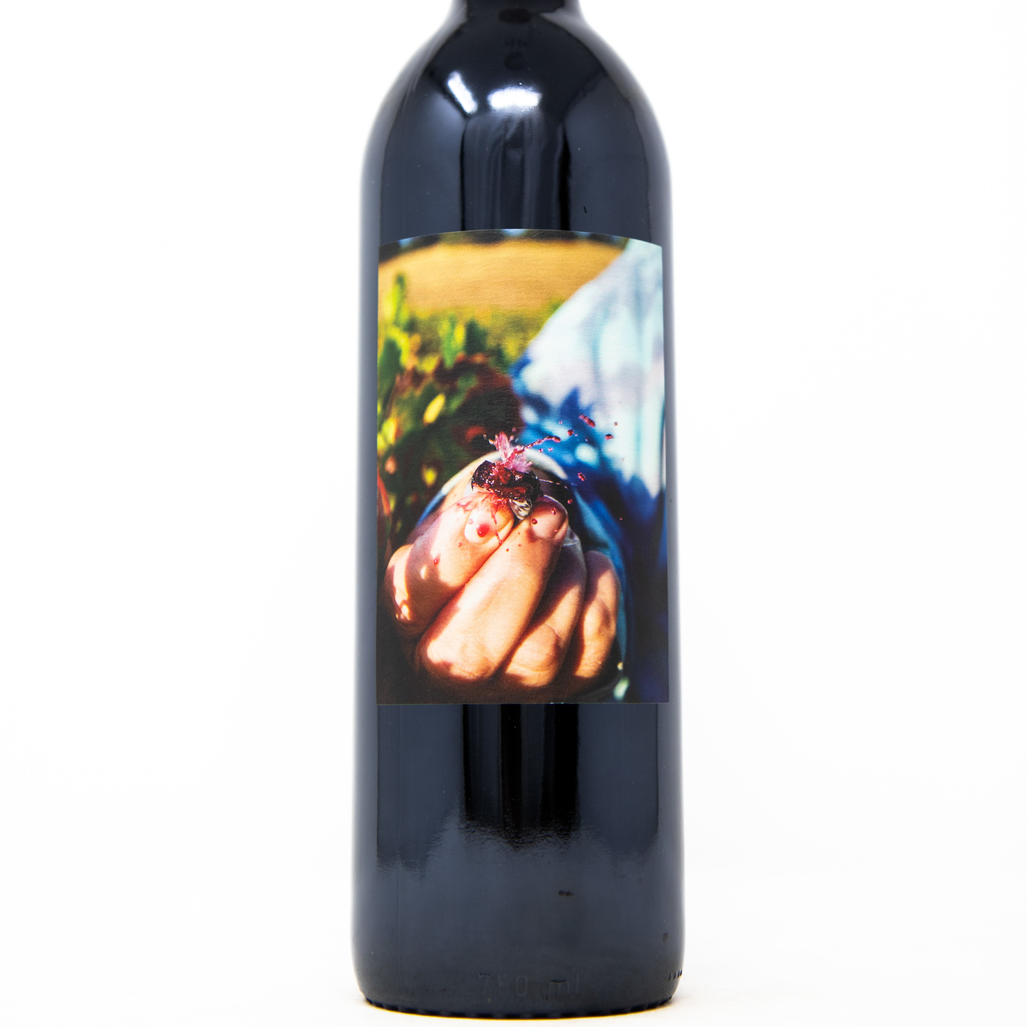 Brooklyn Wine Exchange : Sixteen 600 