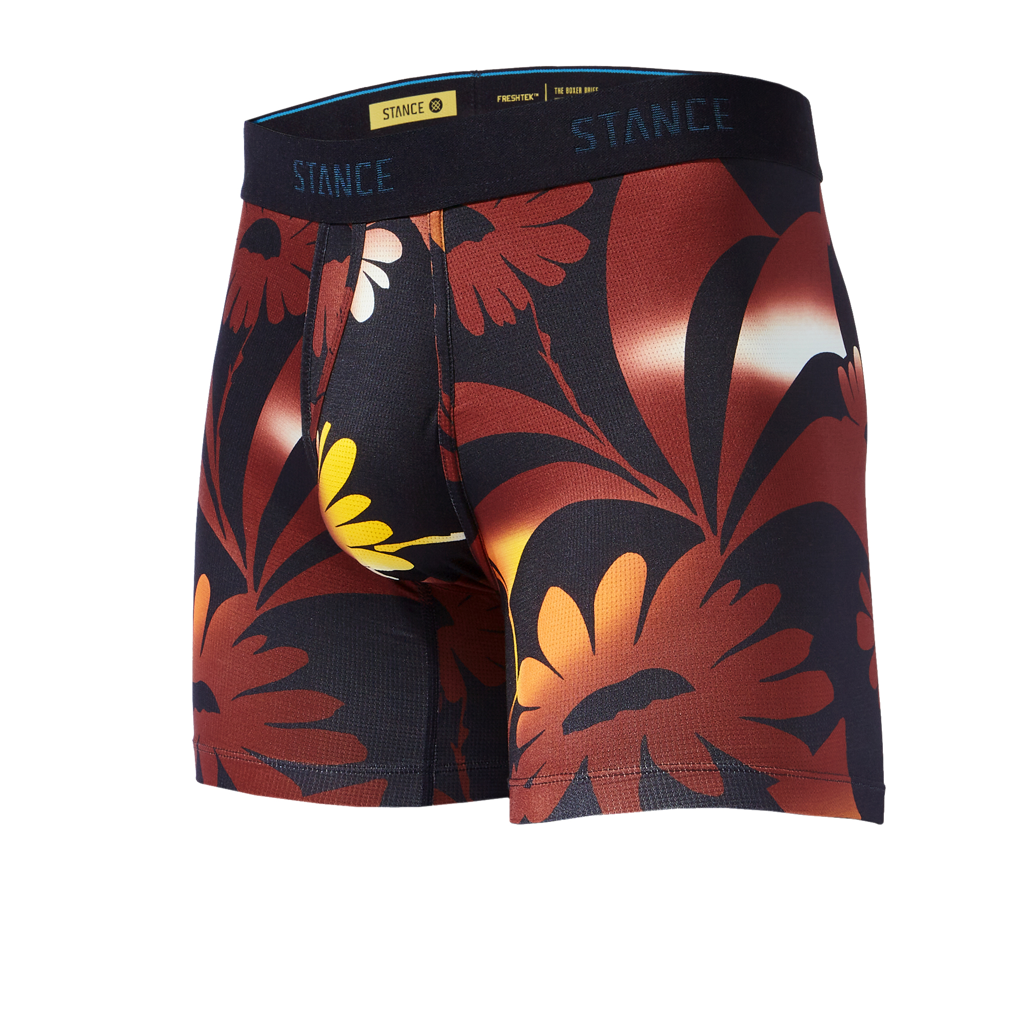 Stance The Wholester Boxer Briefs