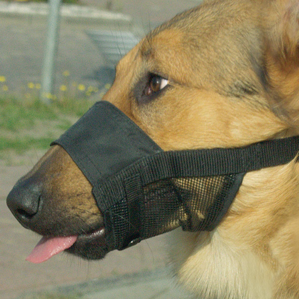 Beeztees Comfort Muzzle Verstelbaar