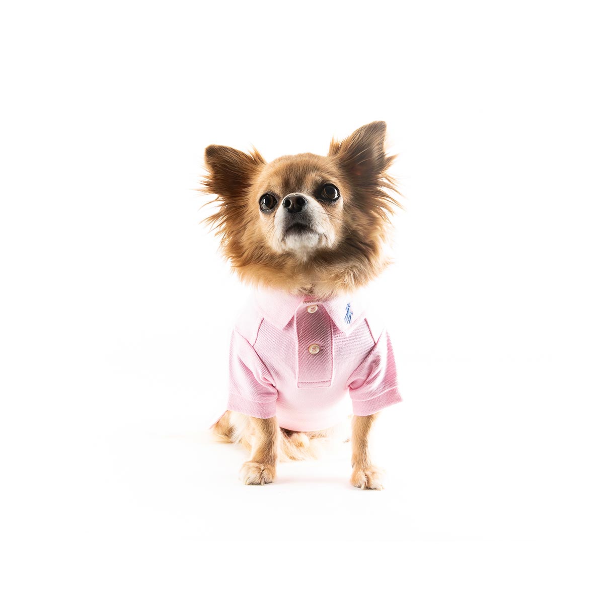 Polo Ralph Lauren Hondenshirt Carmel Pink