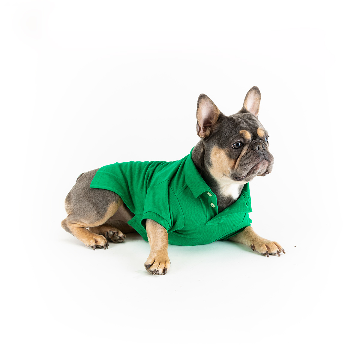 Polo Ralph Lauren Hondenshirt Billiard Green