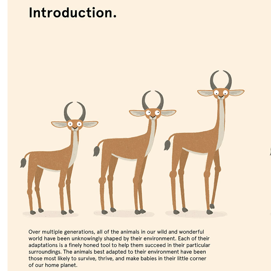 The Worlds Most Ridiculous Animals