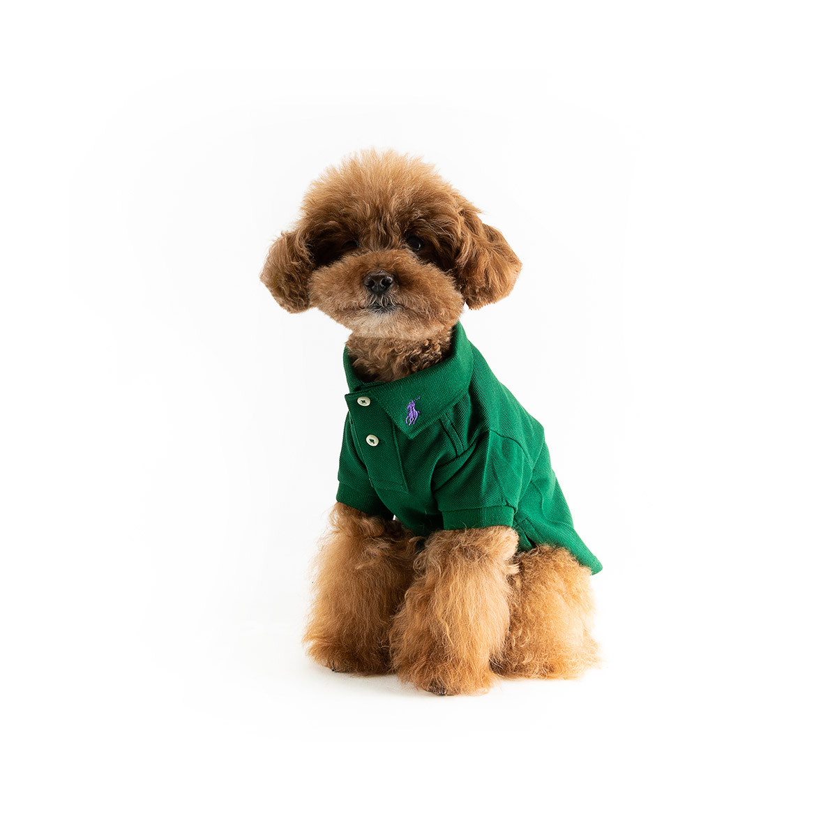 Polo Ralph Lauren Hondenshirt Forest Green