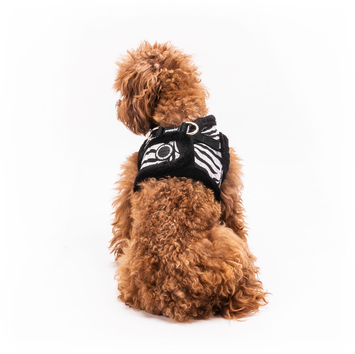 Puppia  Hondentuig B Modern Zebra M