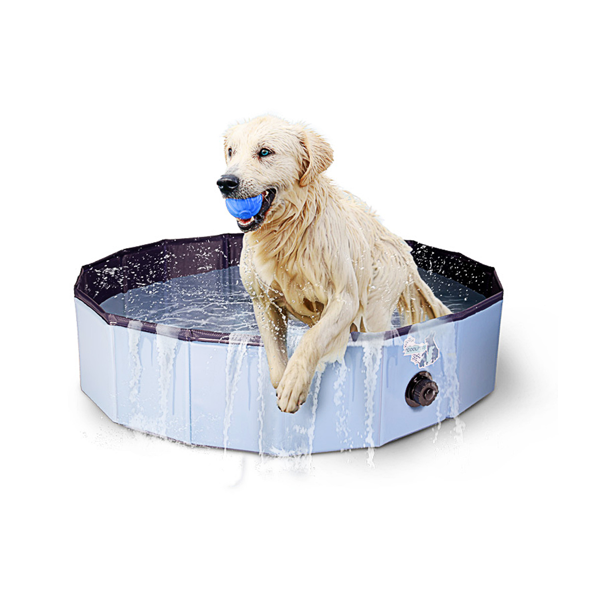 Coolpets Hondenzwembad