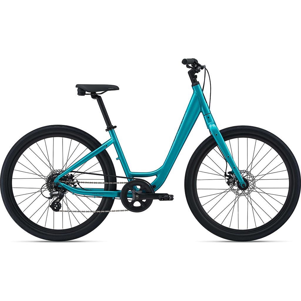 Giant Momentum Vida Low-Step Comfort Bike  2021