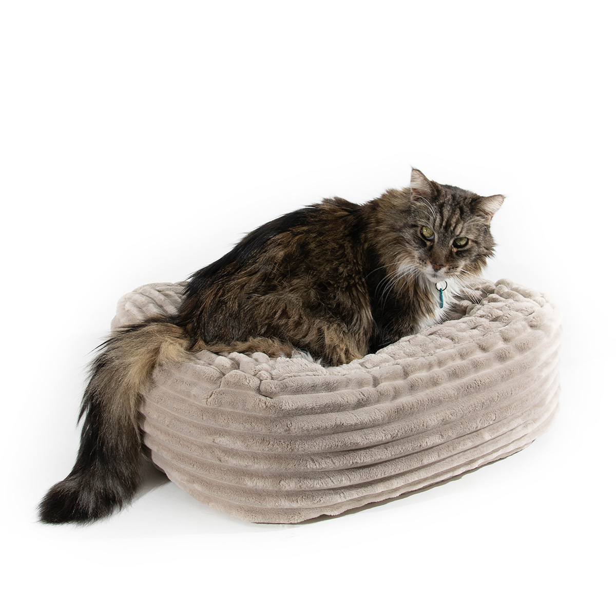 MaxxNobel Kattenmand Orthopedisch Teddy Rib 60 cm