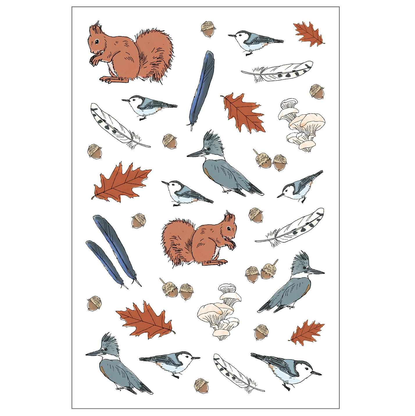 Nature Anatomy Sticker Book: A Julia Rothman Creation; More than 750 Stickers