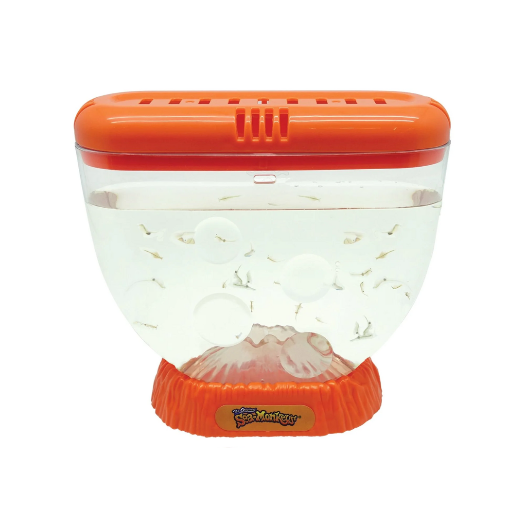 Ocean Volcano Sea Monkeys