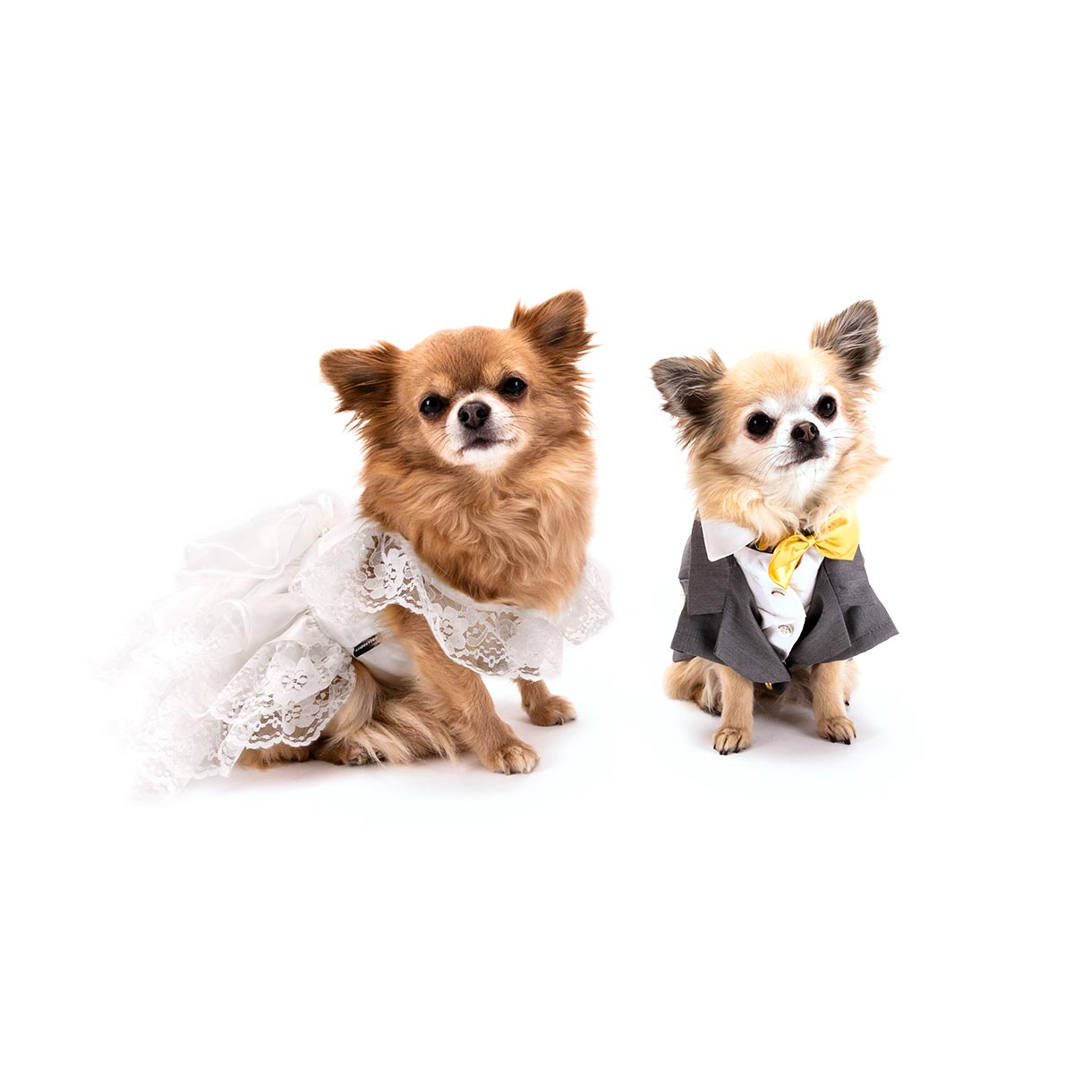 DoggyDolly Hondenkleding Trouwjurk Kant M