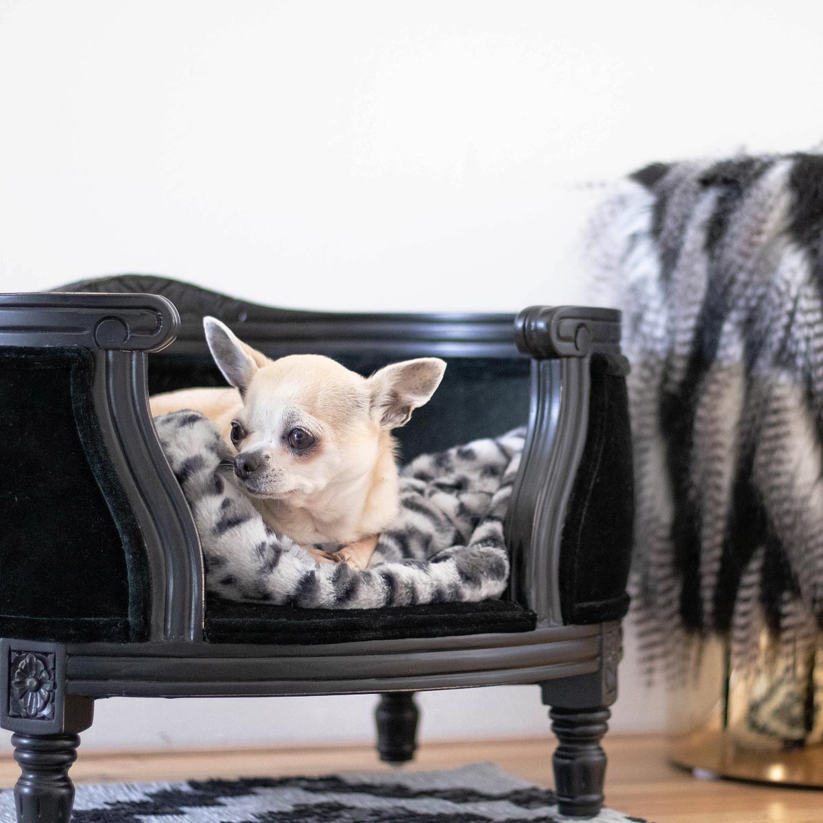 Eh Gia Hondendeken Leopard Heart Grey