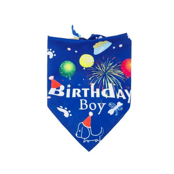 Fringe Studio Bandana Birthday Boy