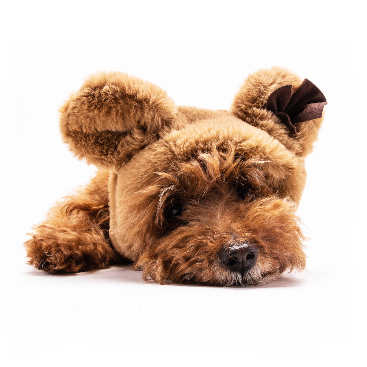 Fifi's Dog Fashion Hondenmuts Beige