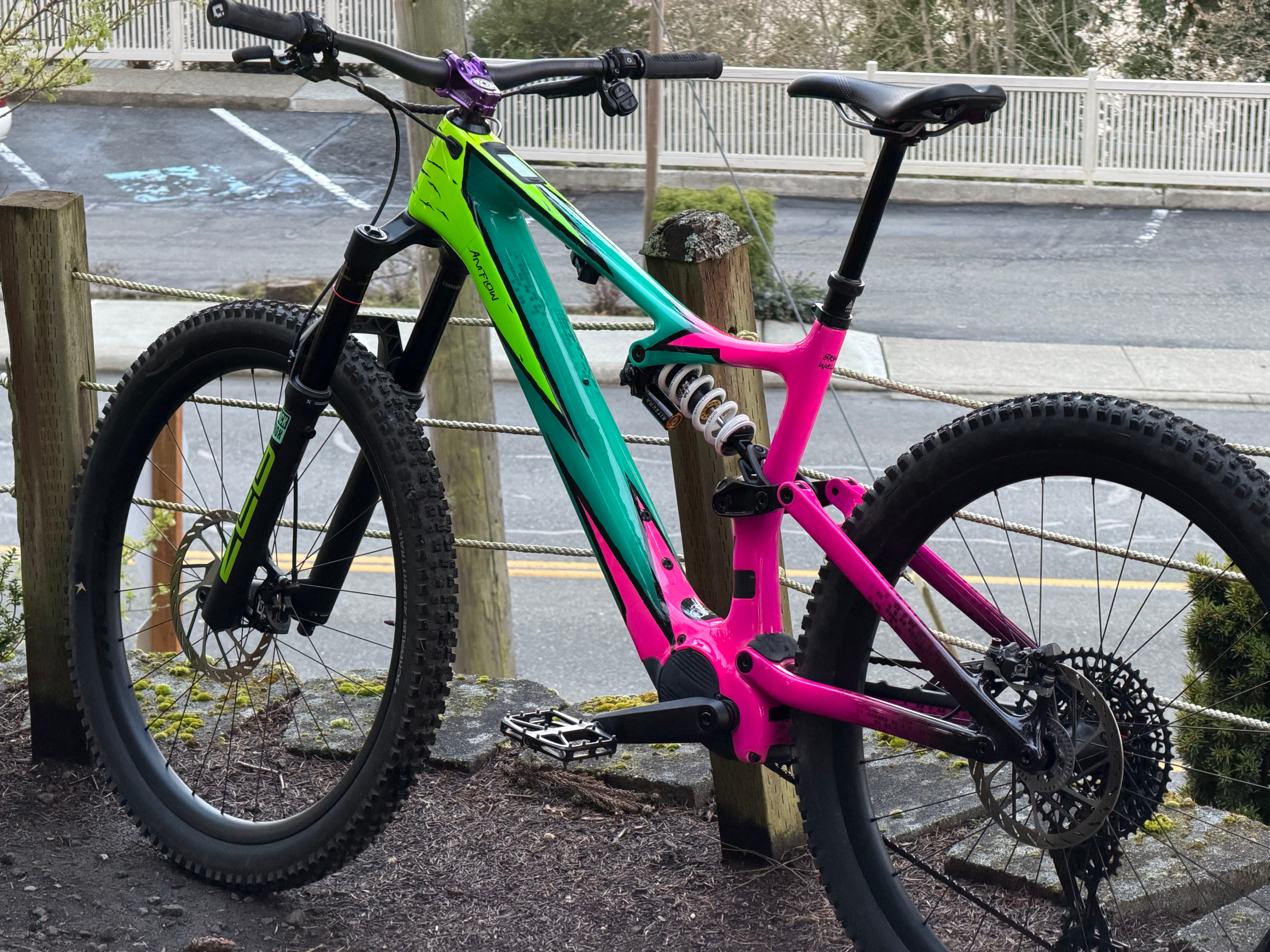 Amflow Pl Carbon XL Custom build (call for price)