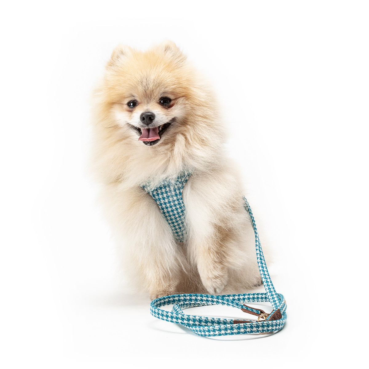 Barcelona Dogs Hondentuig Pepita Blauw