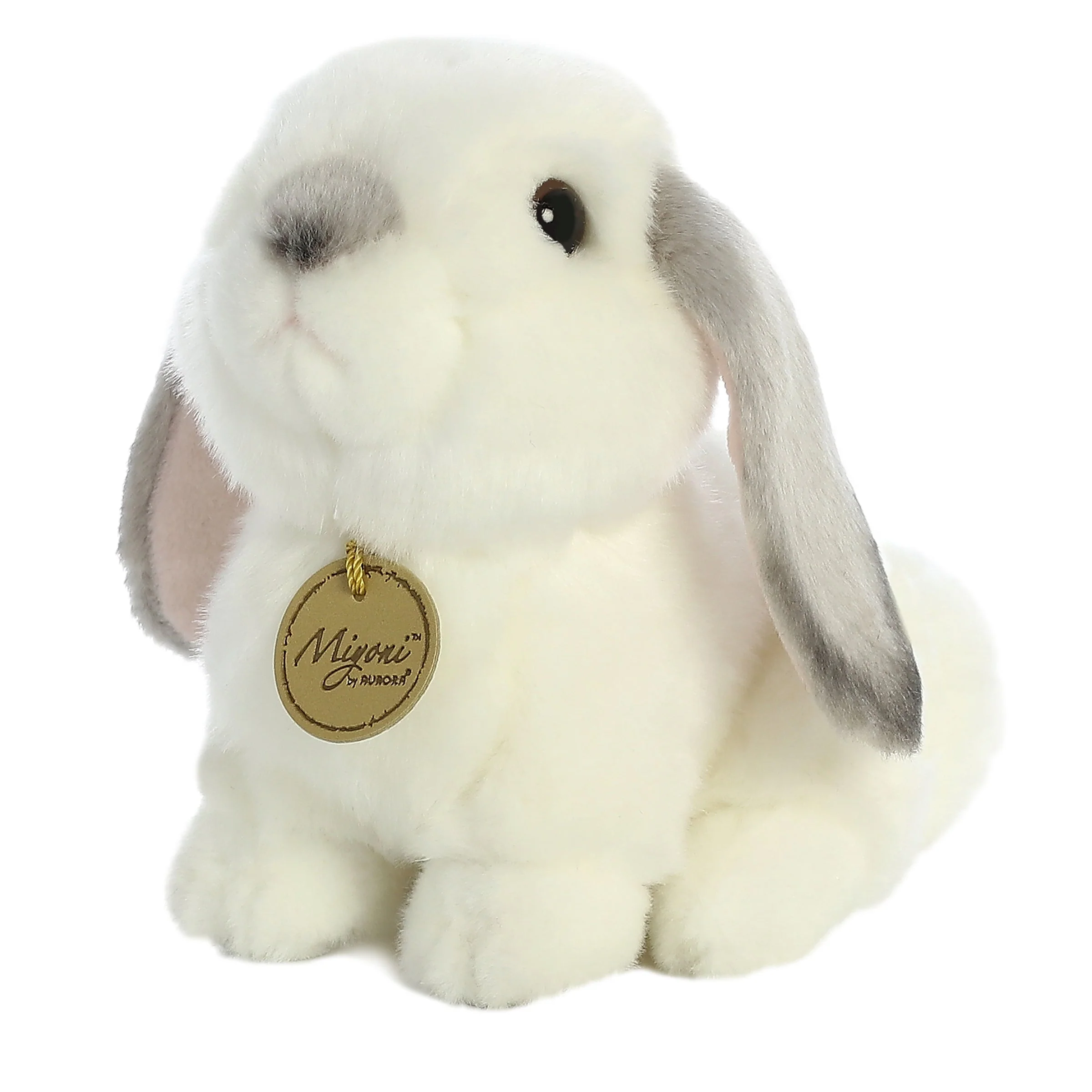 Miyoni - Lop Grey Eared Rabbit
