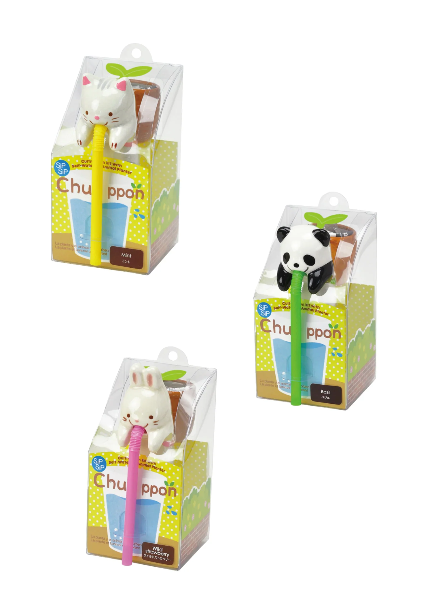 Chuppon Planter