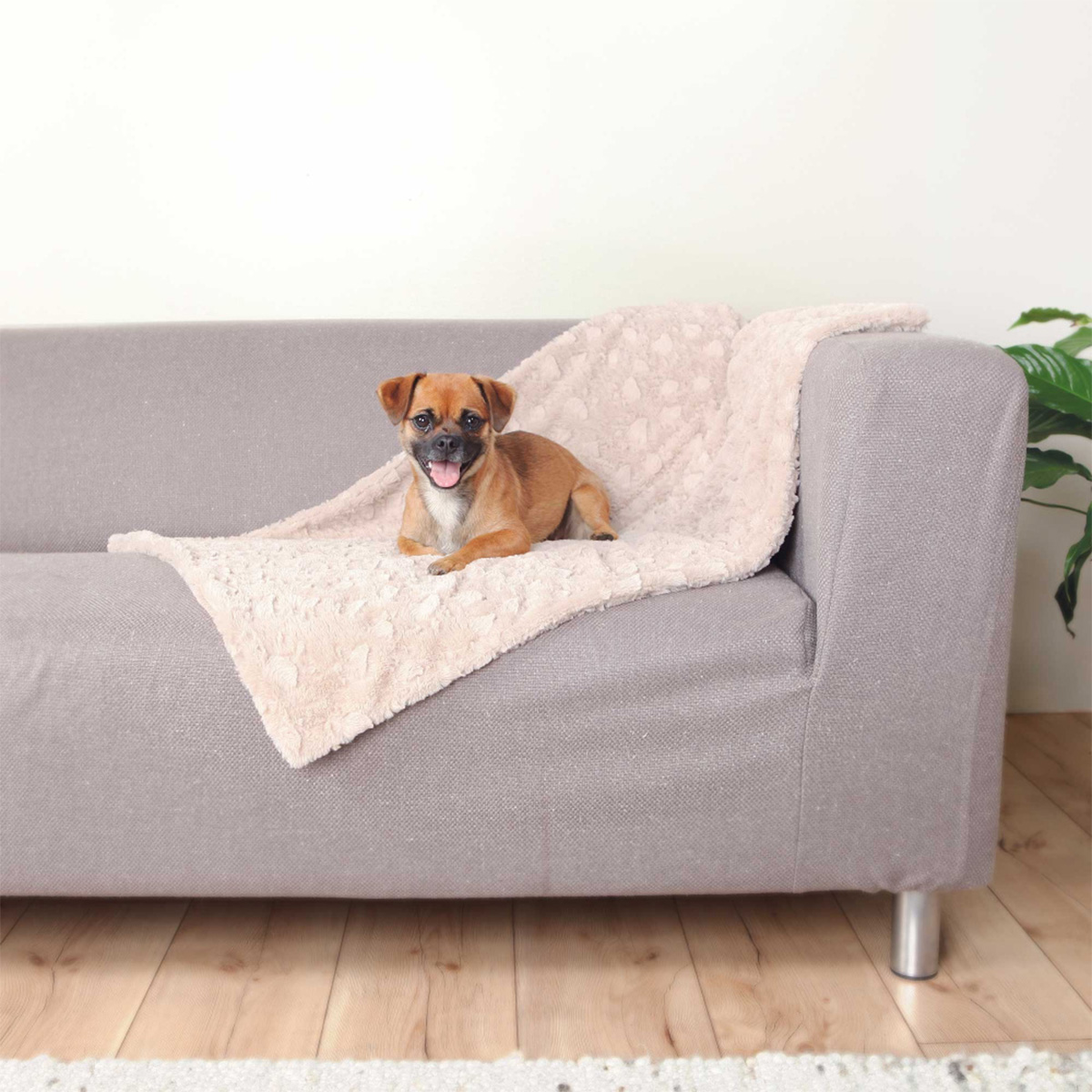 Trixie Hondendeken Cosy Beige 70 × 50cm