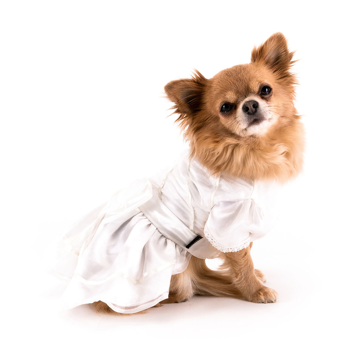 DoggyDolly Hondenkleding Trouwjurk Formal