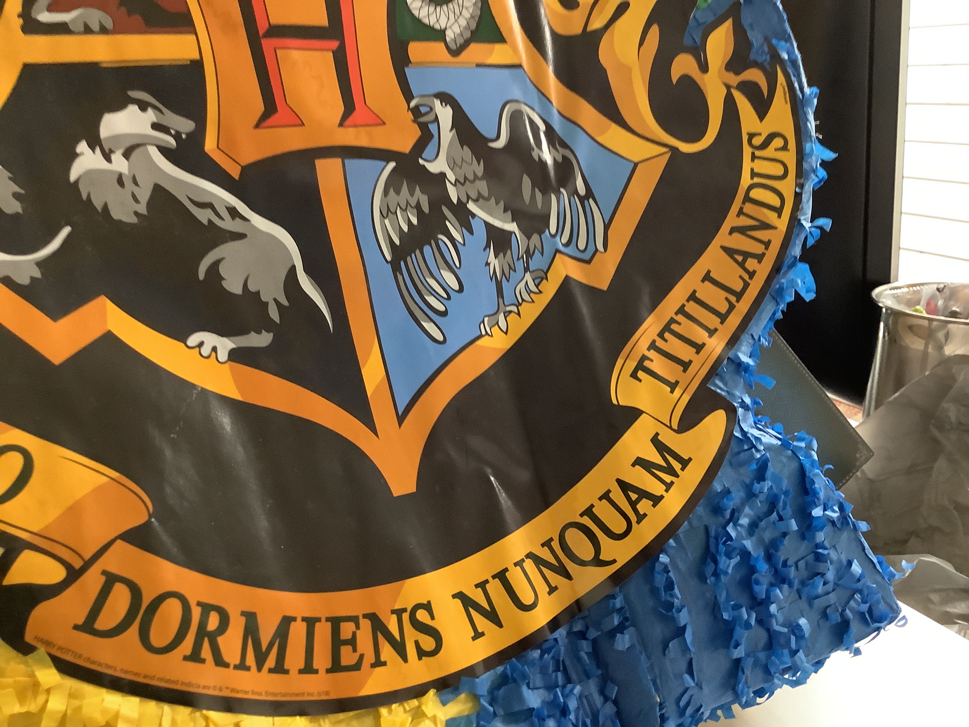 Harry Potter Pinata Kit with Favors