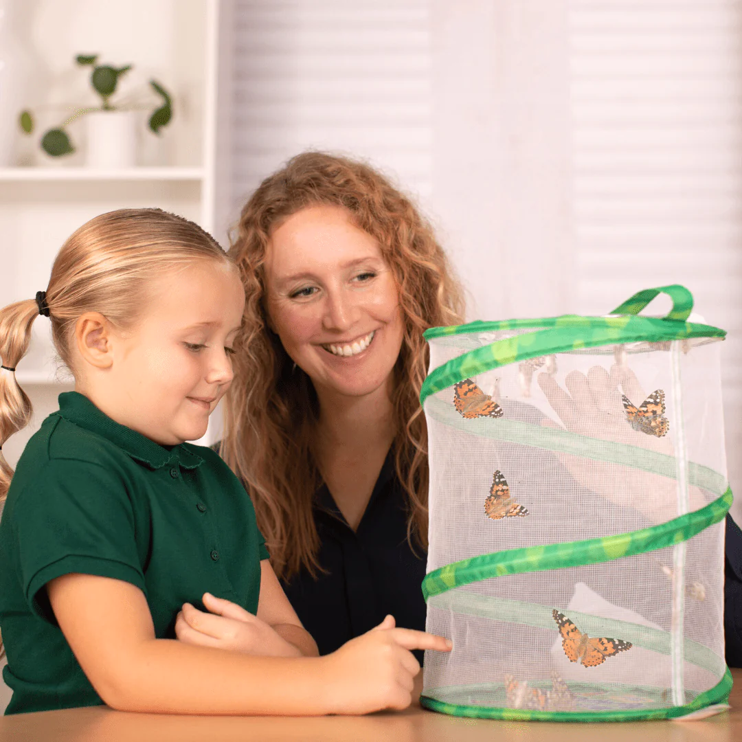 Insect Lore Butterfly Farm