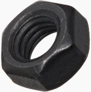 5/16-18 Hex Nut 18-8 SS Black Oxide Ea