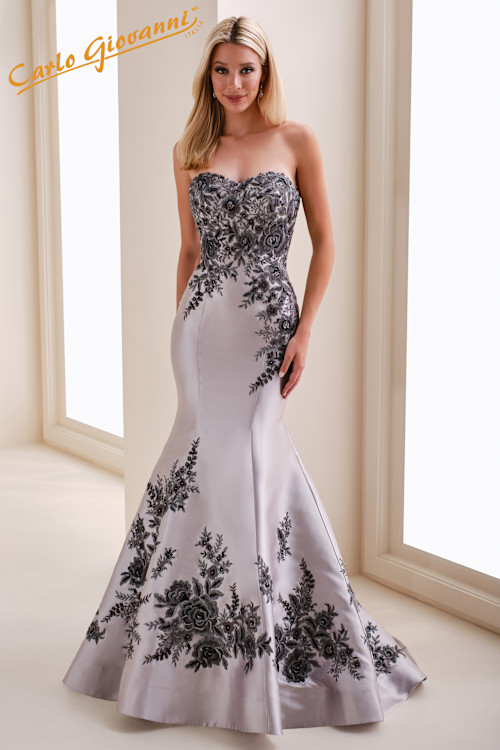 Vestido Largo CGMHID1205