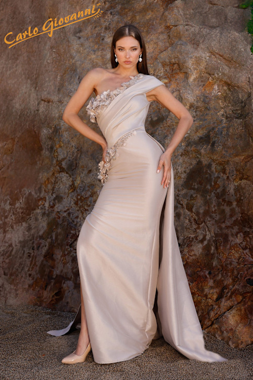 Vestido Largo CGTN252E5116