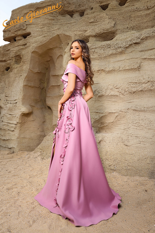 Artículo CGTN252M5317