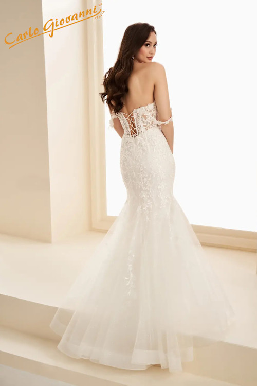 Vestido de Novia CGMHEW36053