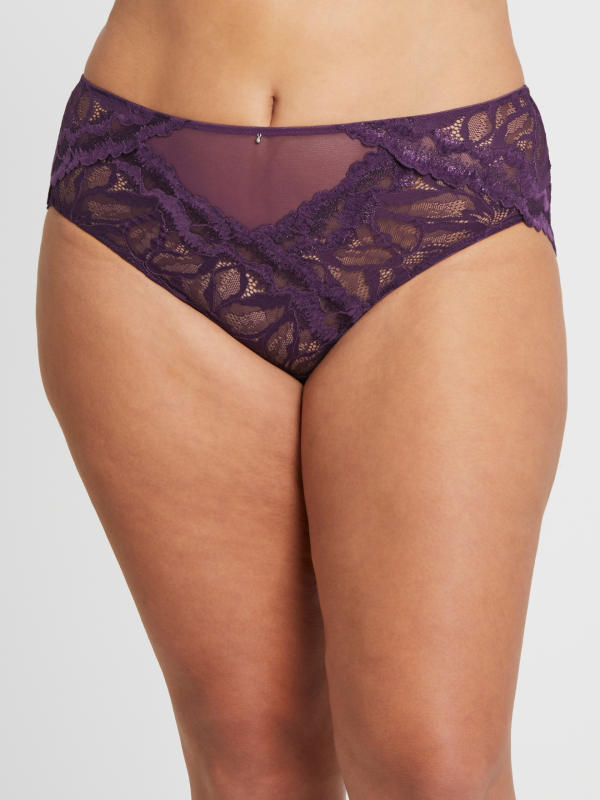 Royale Lace Full Brief LE23