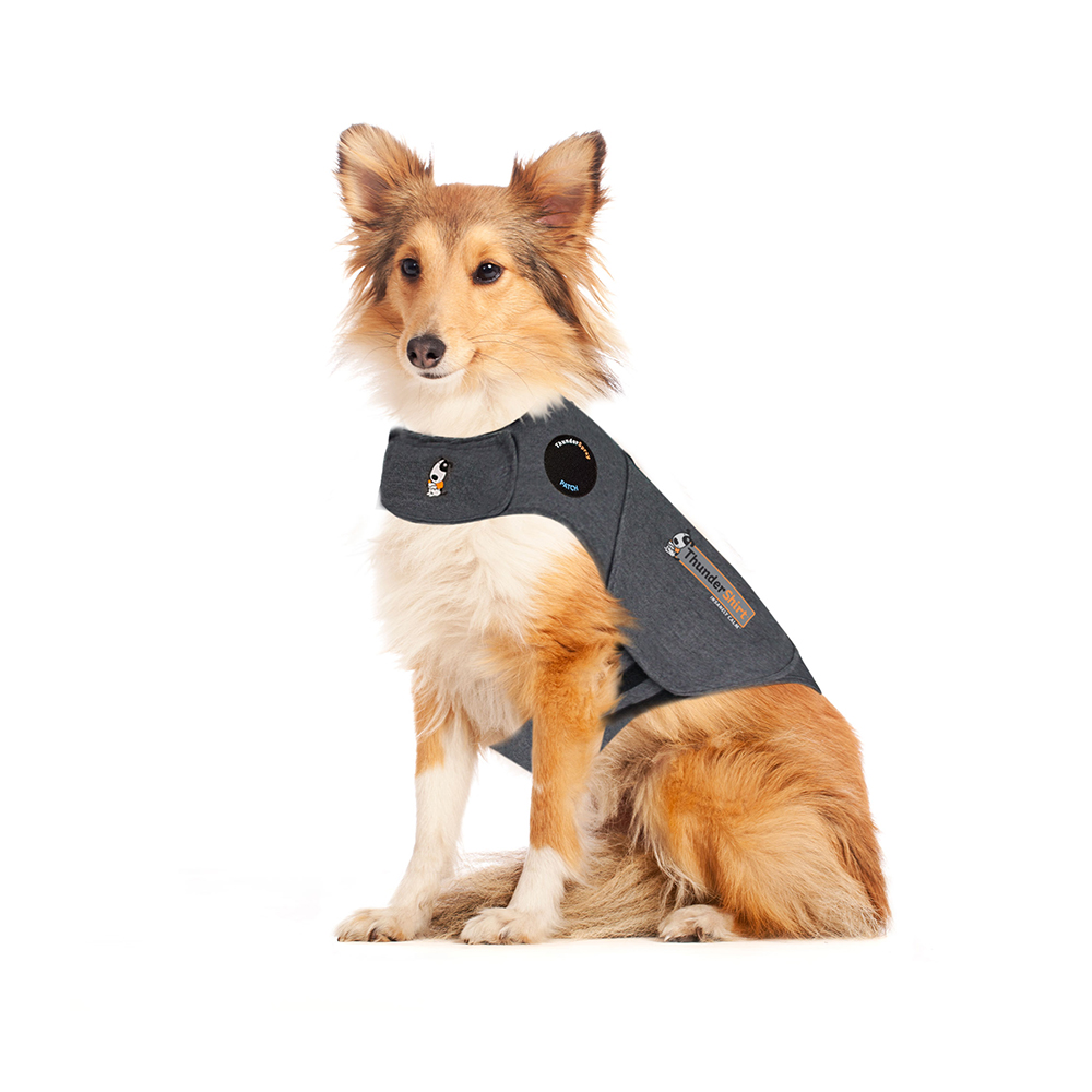 ThunderShirt Grijs
