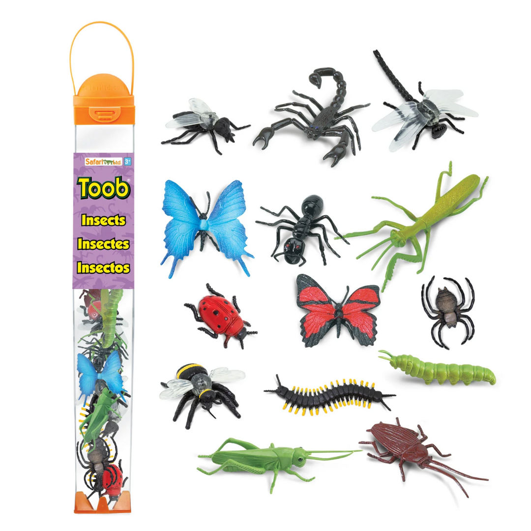 TOOB INSECTS