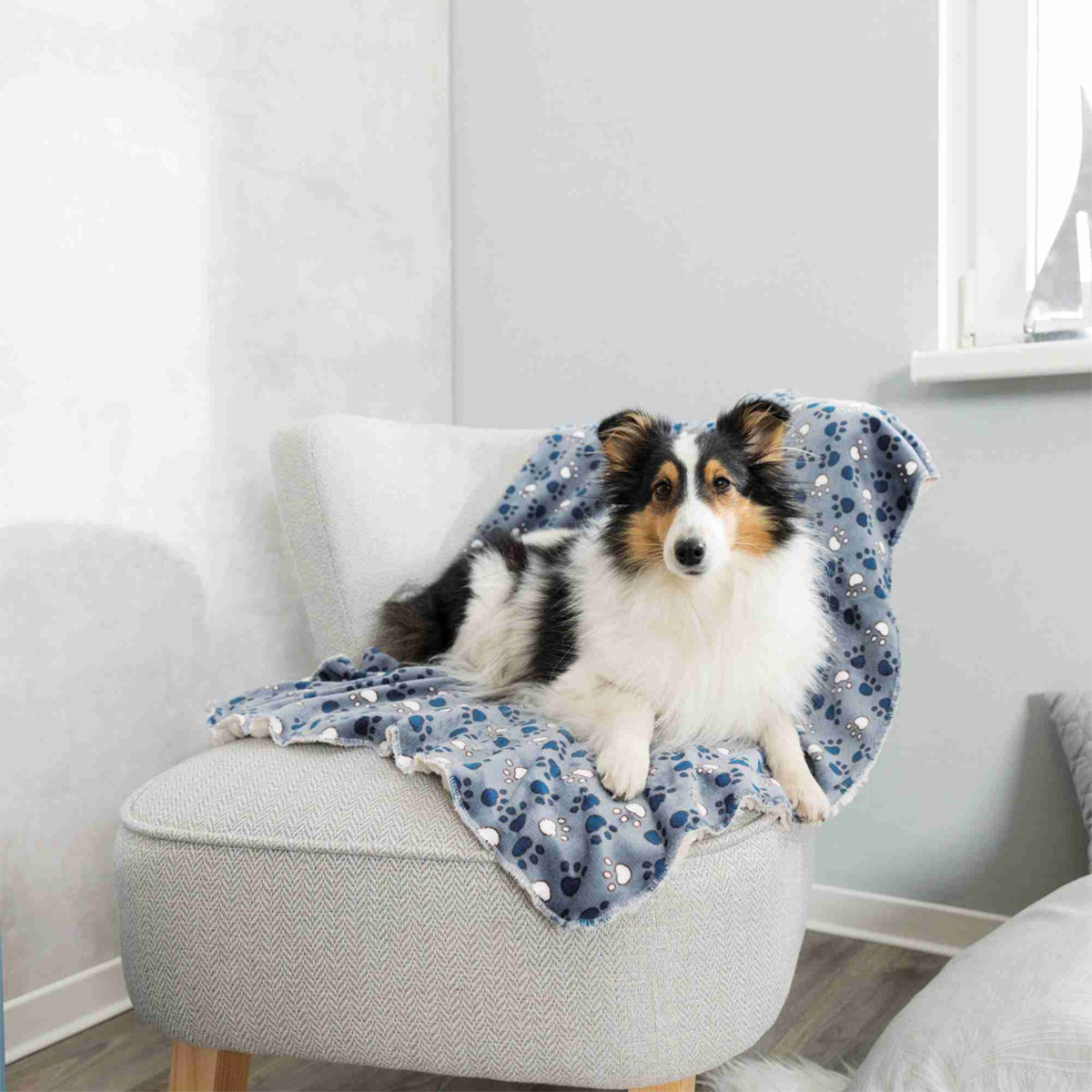 Trixie Hondendeken Tammy Blauw & Beige 1