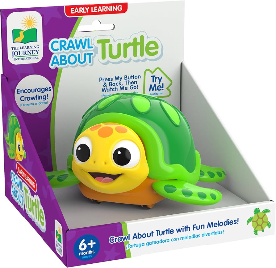 Crawl About Sea Turtle
