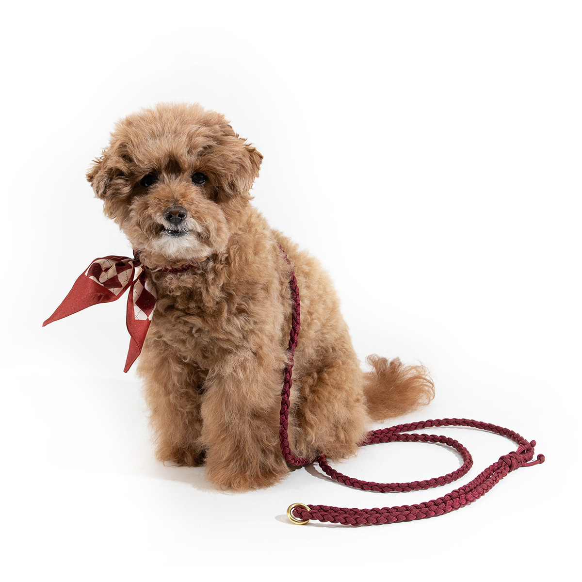 Skyo Atelier Halsband Nova Wine Red