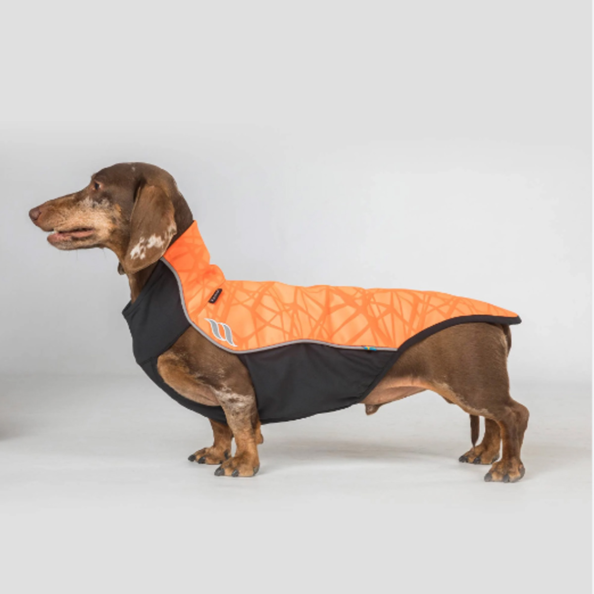 Back on Track Hondenshirt Visibility Jumper Eddie Orange