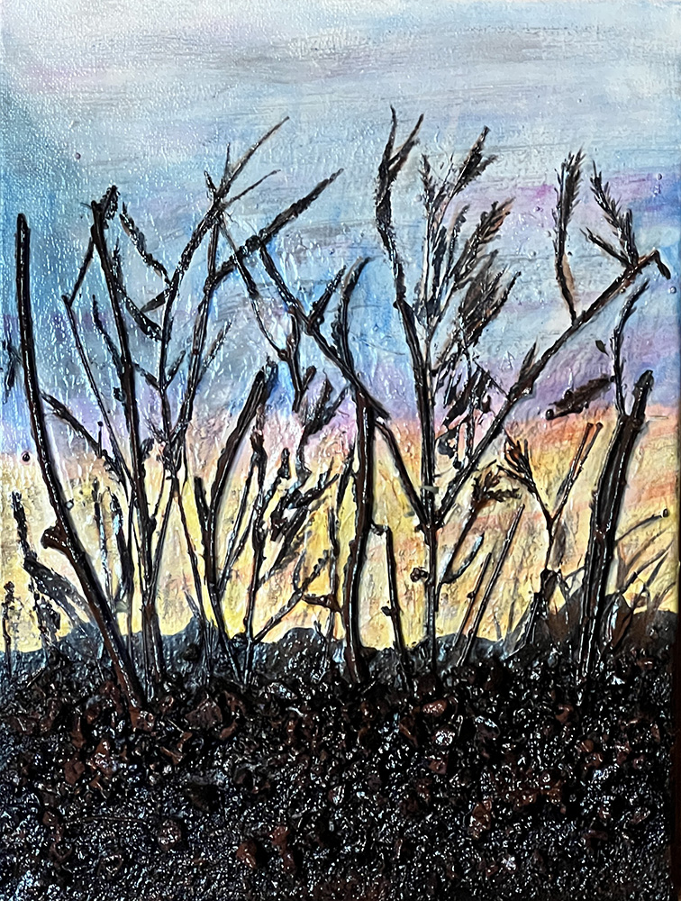 SONORAN SUNRISE 16" x 12"