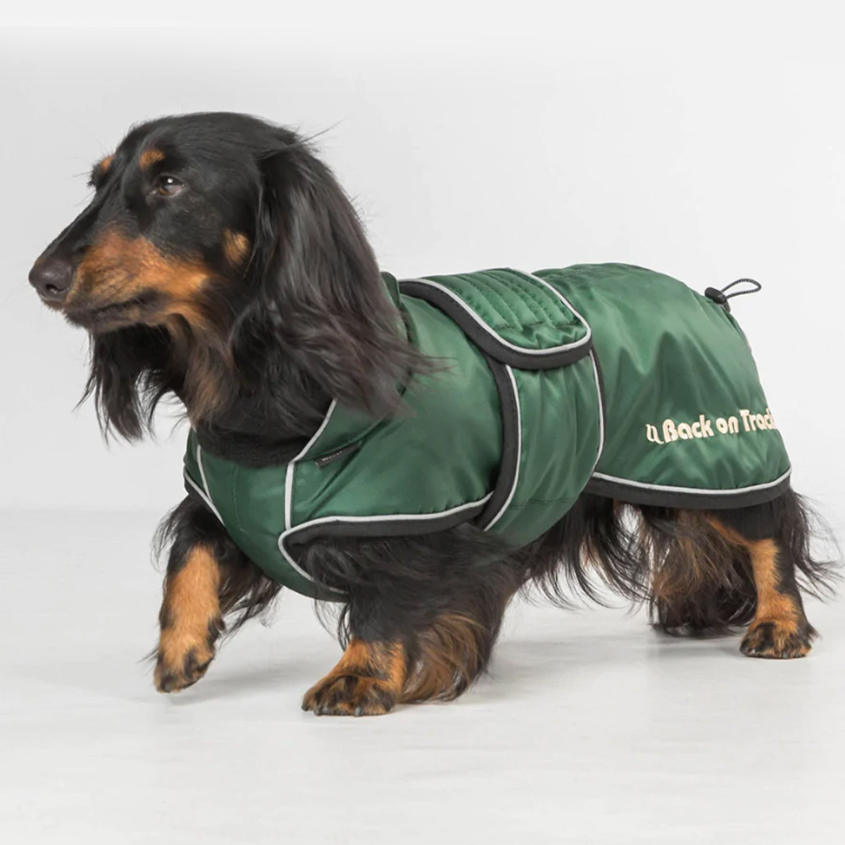 Back on Track Hondenjas Buddy Met Lange Rug Groen