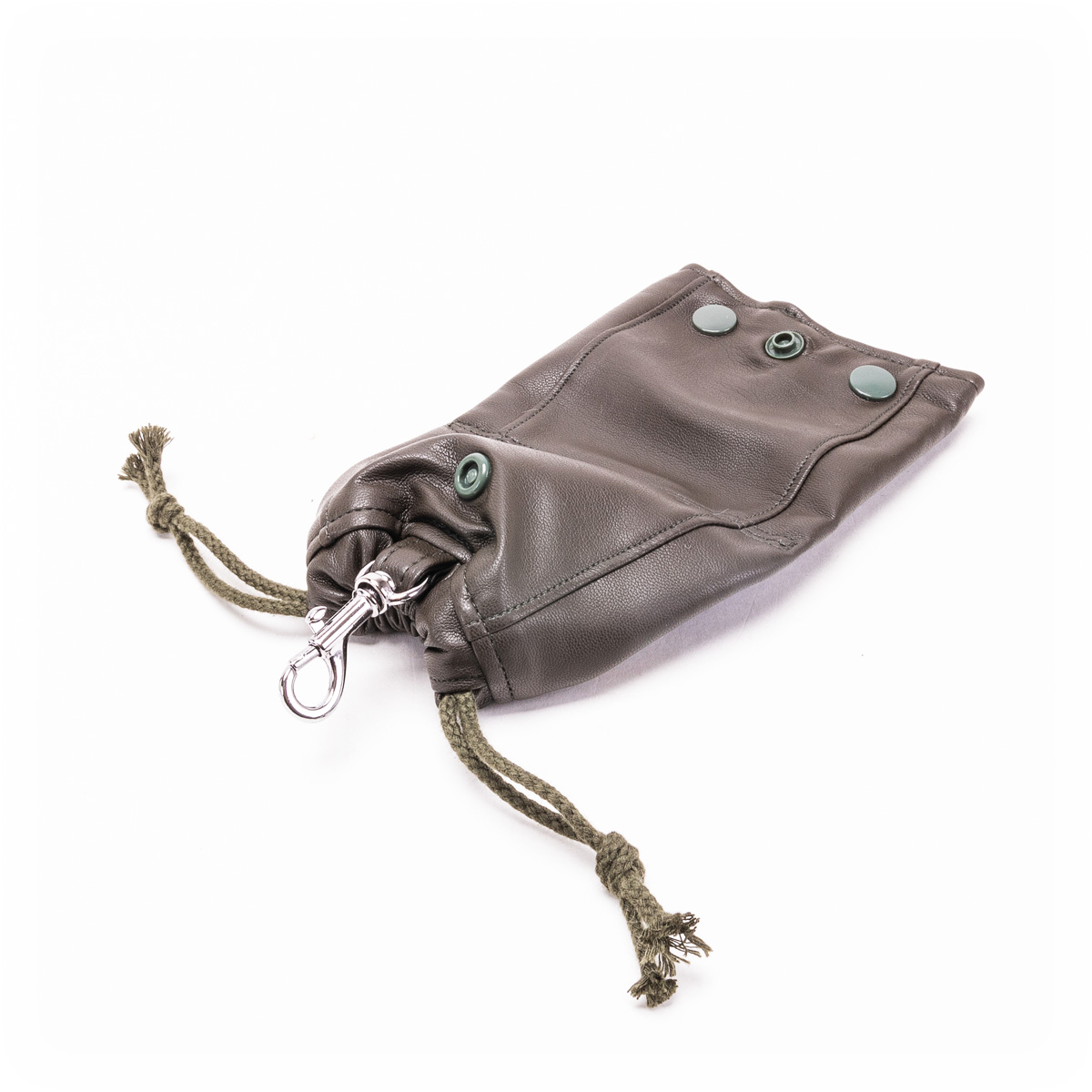 Fifi's Dog Fashion Snack & Poepzakhouder Green Leather