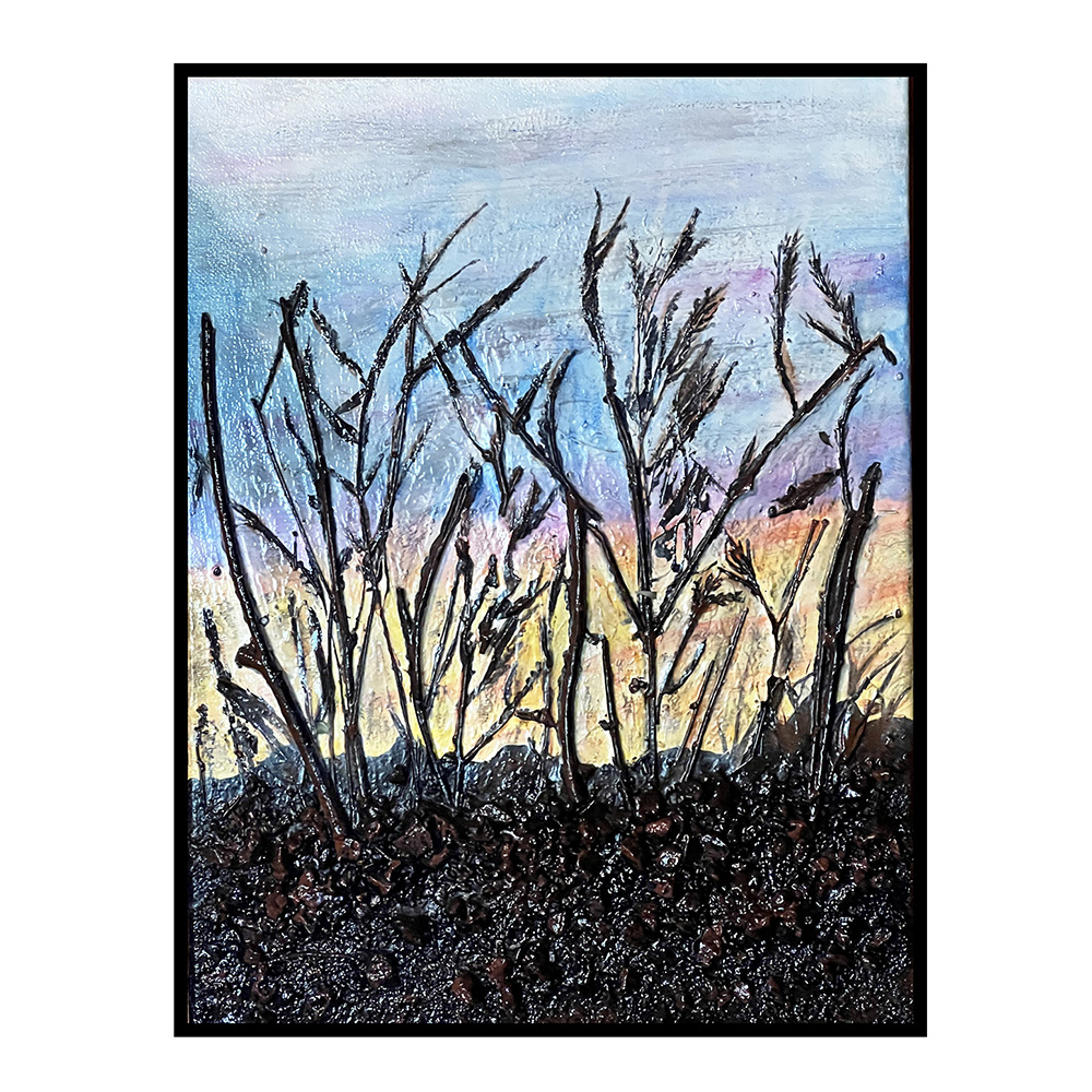 SONORAN SUNRISE 16" x 12"