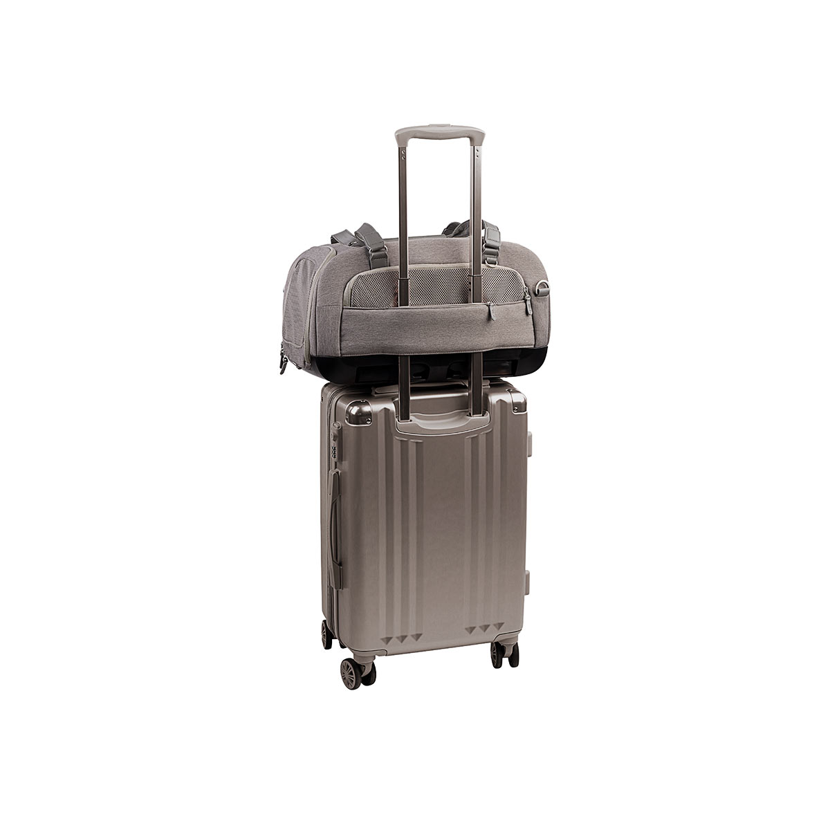 Tavo Autostoel Dupree 2 Merle