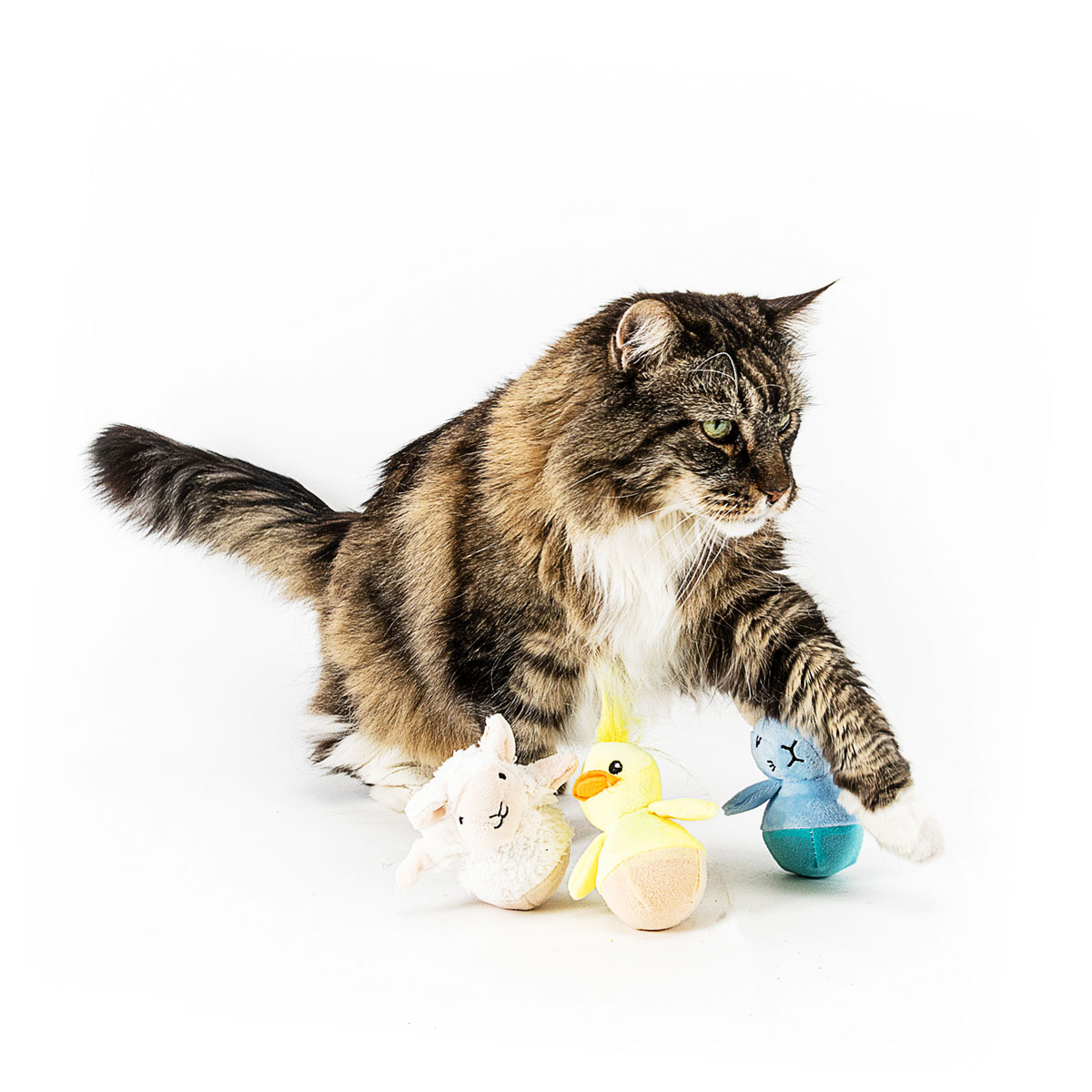 Beeztees Kattenspeelgoed Wobbler
