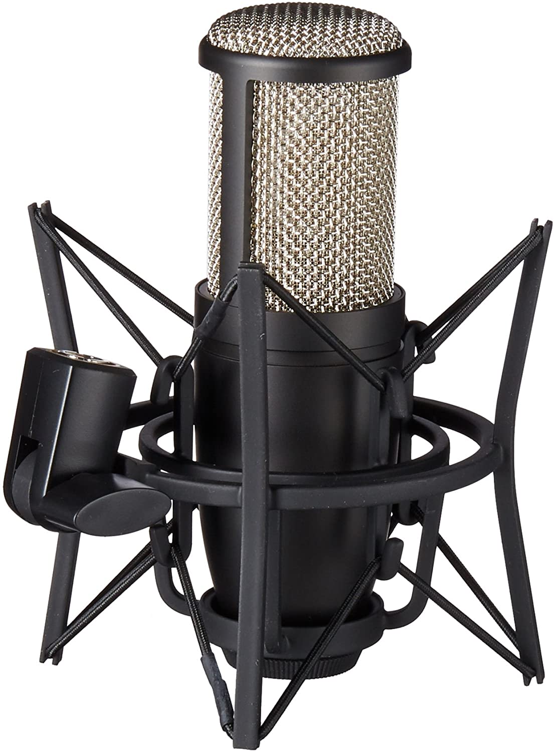 AKG Perception 220 Professional