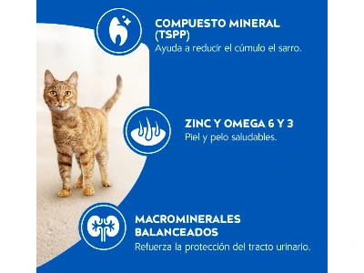 Imagen secundaria