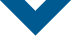 LCG Arrow_DarkBlue LCG Arrow_DarkBlue