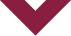 LCG Arrow_Wine LCG Arrow_Wine