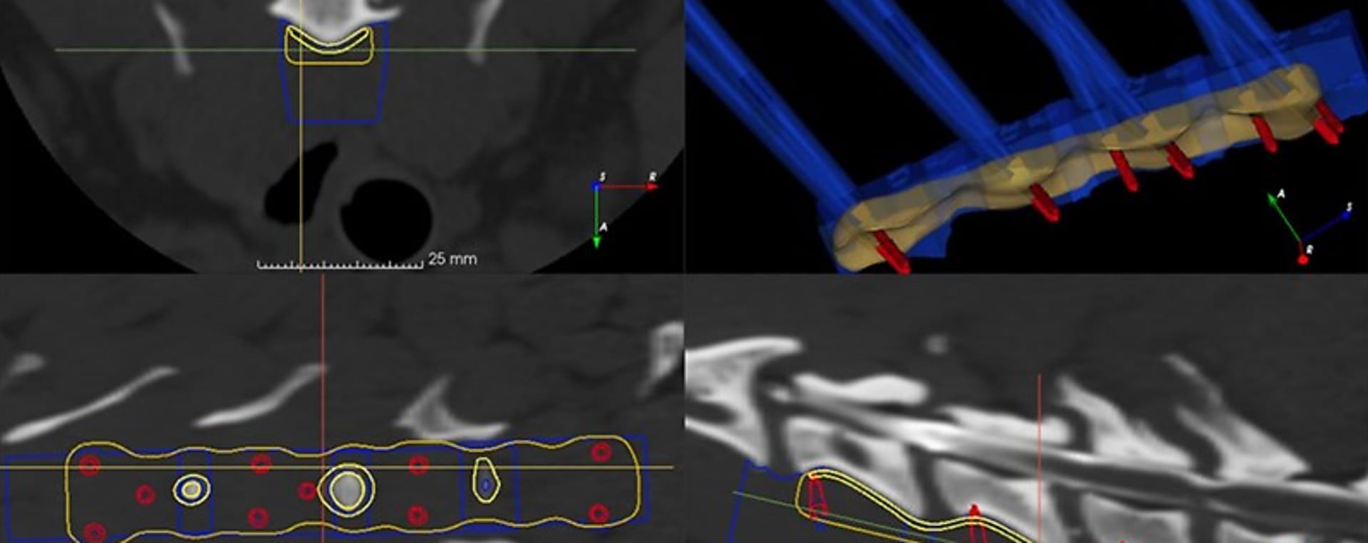 Hungarian professionals reform veterinary medicine with 3D printing