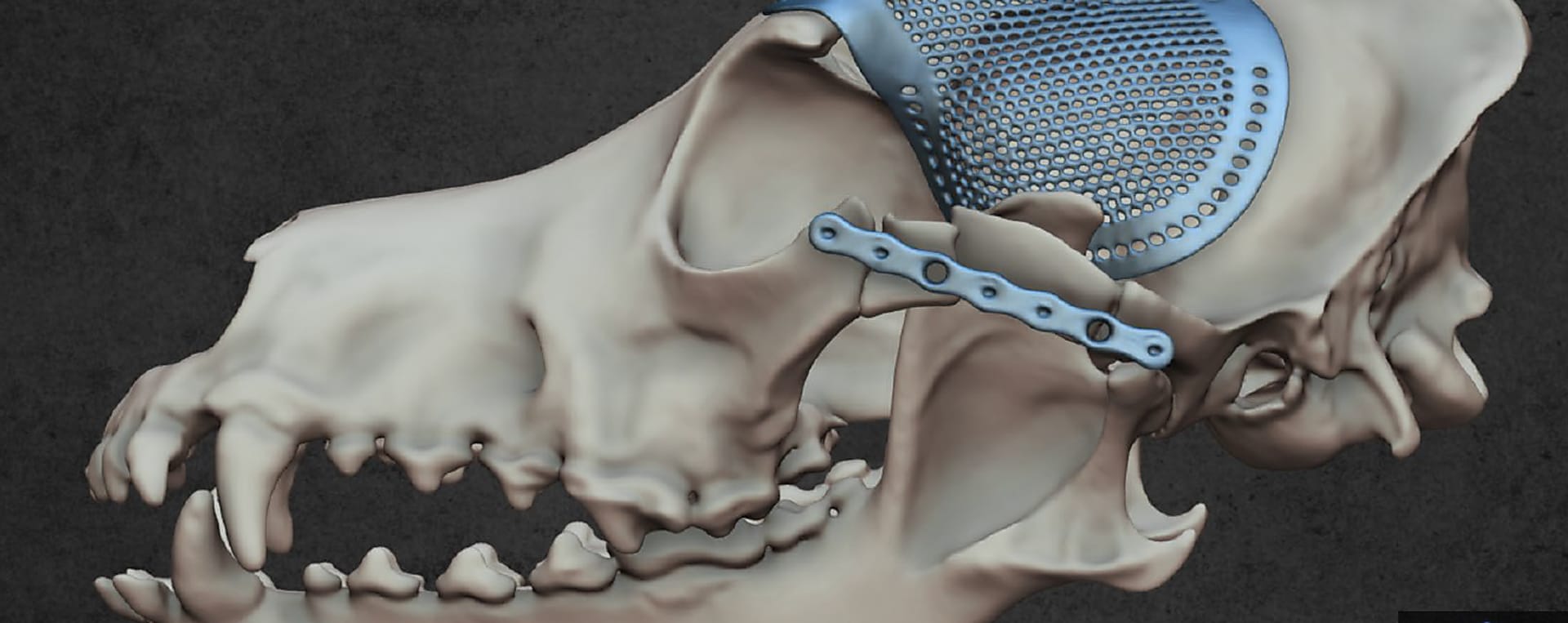 Egy innovatív nemzetközi együttműködés