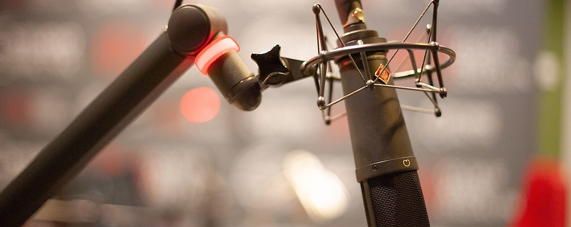 Innovations are of great help in the field of neurosurgery- Interview with Dr László Lehner, DVM (Part 2)